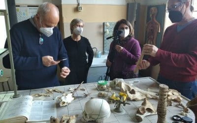 Il Tempo e le STEAM: attività investigative per un tema trasversale