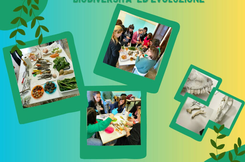 Programma AIDASS – Gli incontri svolti presso l’I.C. “G. Falcone” di Grottaferrata a.s. 2022/23