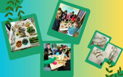 Programma AIDASS – Gli incontri svolti presso l’I.C. “G. Falcone” di Grottaferrata a.s. 2022/23