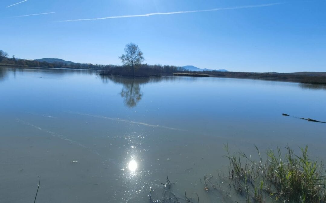 Uscita all’Oasi naturalistica del Lago di Alviano