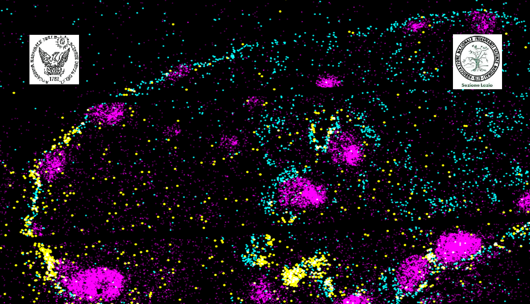 RICONOSCERE L’IDENTITA’ E LE INTERAZIONI DELLE CELLULE NEI TESSSUTI