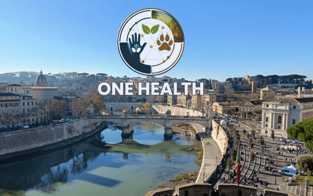 Giornata sull’Educazione Scientifica – II edizione:                          ONE HEALTH