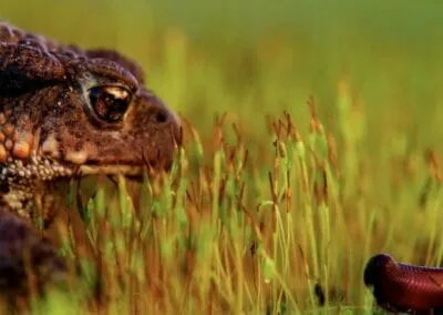 1° classificato 2020 | Gianluca Fiorentino | “L'attesa”