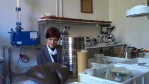 Associazione Nazionale Insegnanti Scienze Naturali SEZIONE LAZIO 6