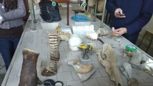 Associazione Nazionale Insegnanti Scienze Naturali SEZIONE LAZIO 6