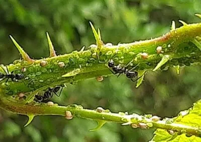 1° classificato 2022