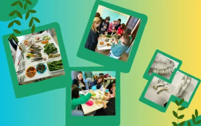 Programma AIDASS – Gli incontri svolti presso l’I.C. “G. Falcone” di Grottaferrata a.s. 2022/23