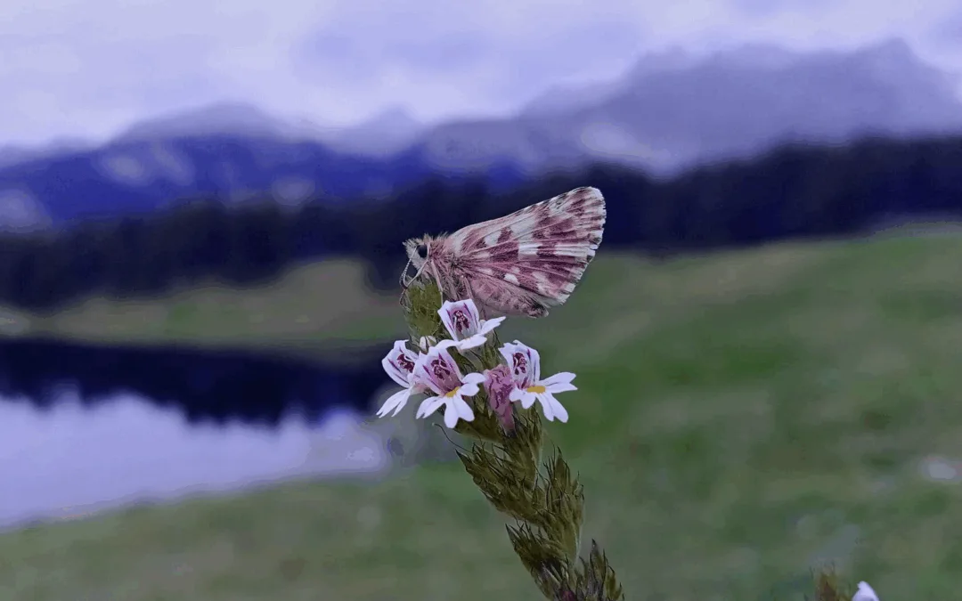 Premiazione degli studenti partecipanti alla IV ed del  Concorso fotografico “Occhio alla natura!”
