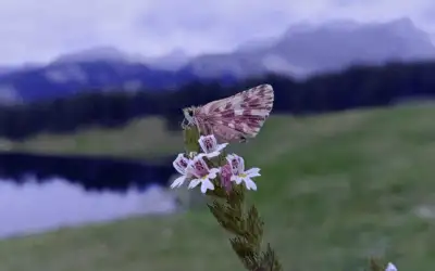Premiazione degli studenti partecipanti alla IV ed del  Concorso fotografico “Occhio alla natura!”