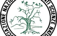 Rinnovo delle Cariche Sociali ANISN (Triennio 2026-2029)